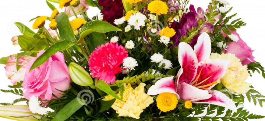 Tourist Attraction in Haifa Flowers